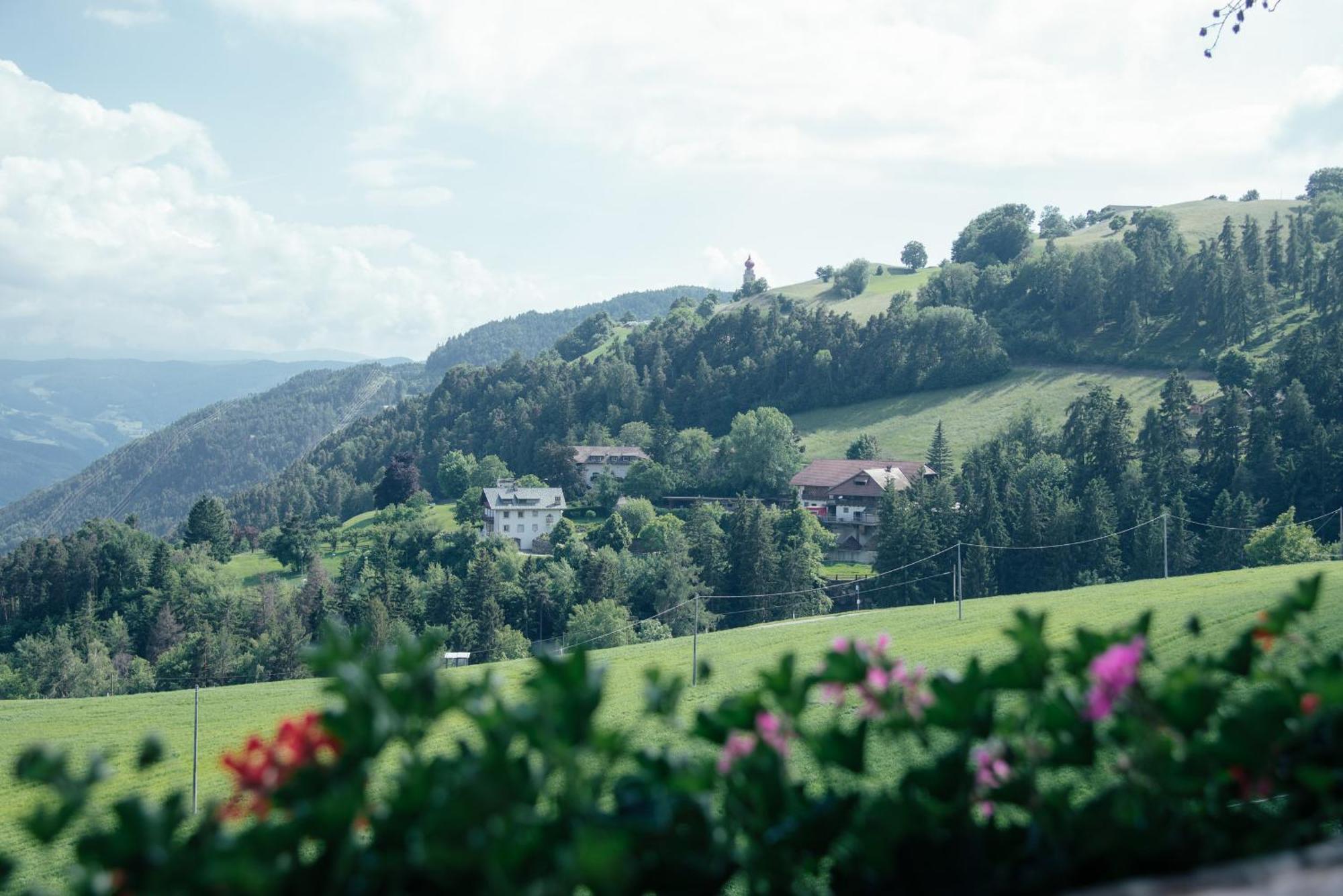 Haidgerberhof - Apartments & Homemade Food Longostagno Екстериор снимка